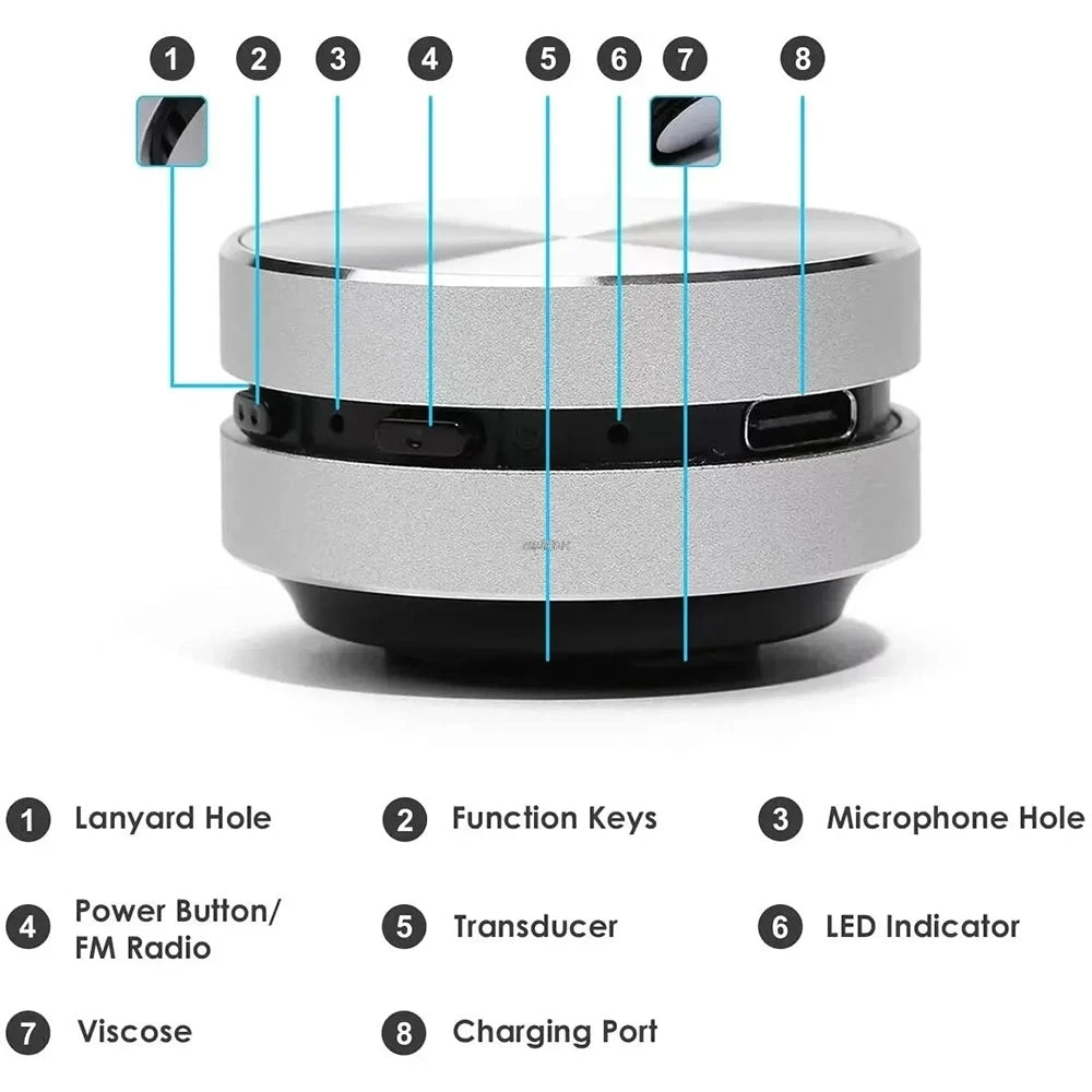 Minimalist Hummingbird Speaker With FM Radio