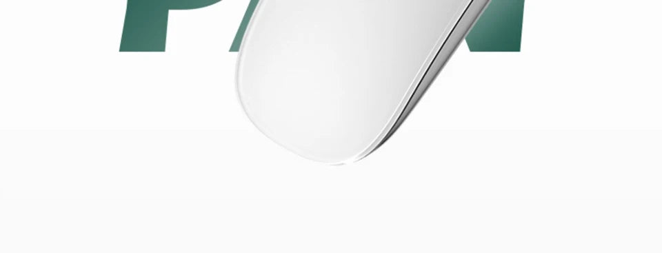 Pro Multi-Touch Surface Magic Mouse
