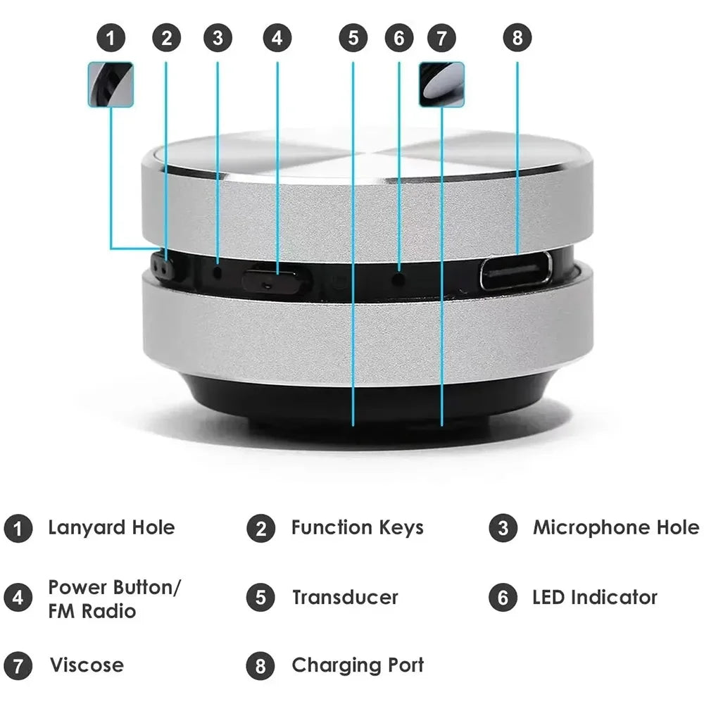 Minimalist Hummingbird Speaker With FM Radio